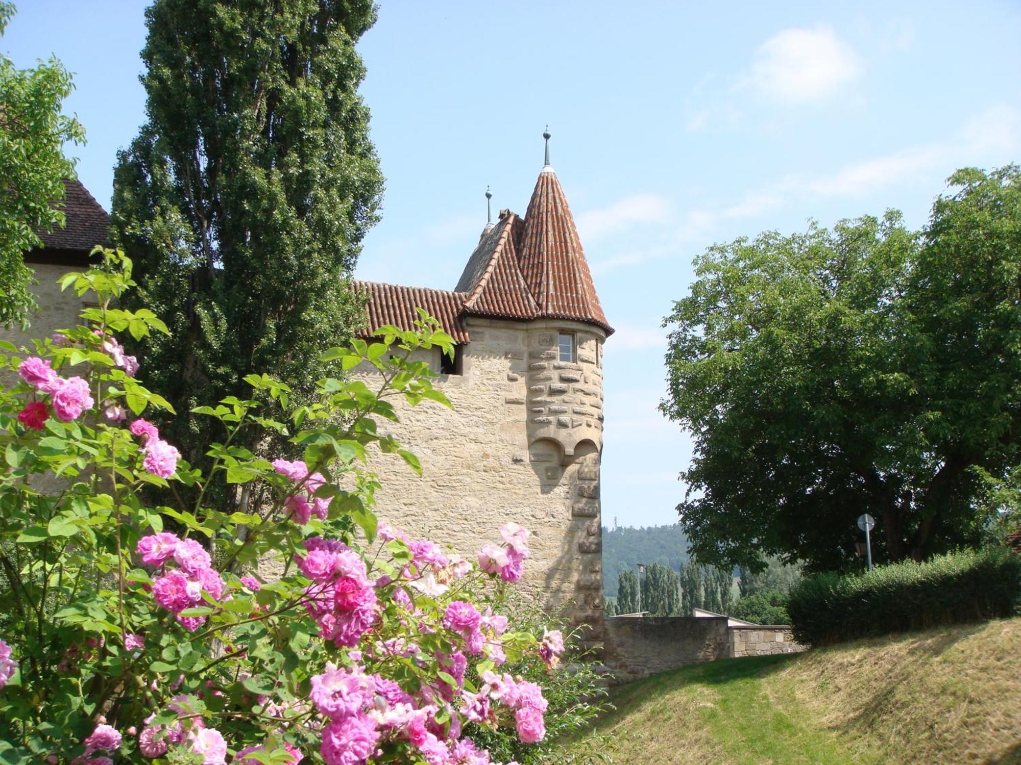 Weingut Gaestehaus Weigand Hotel Iphofen Buitenkant foto