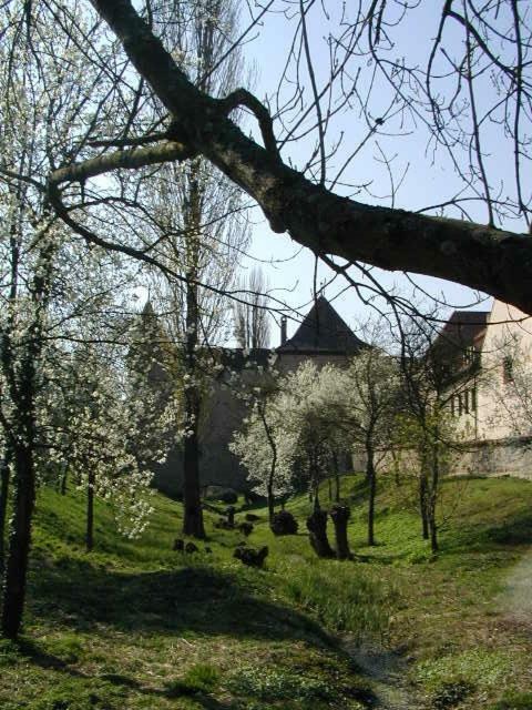 Weingut Gaestehaus Weigand Hotel Iphofen Buitenkant foto